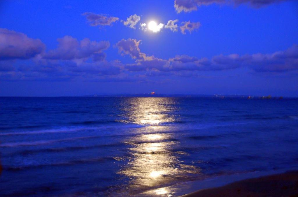 Corali Beach Tsilivi  Ngoại thất bức ảnh